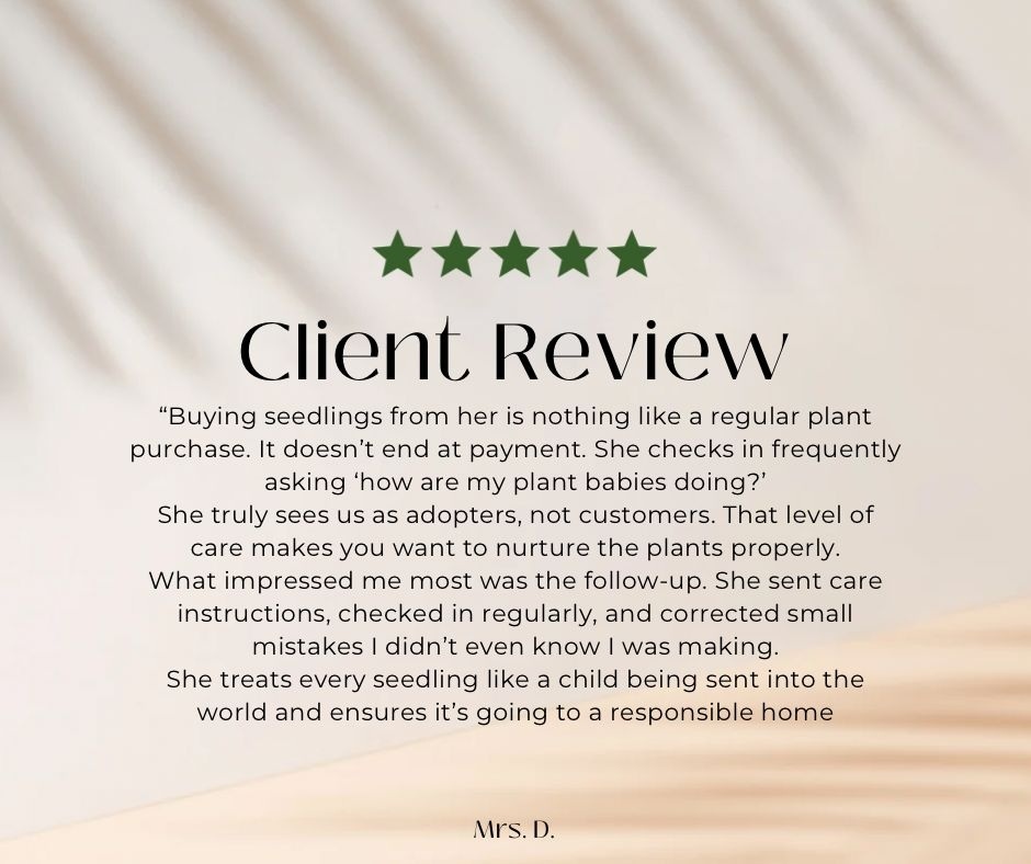 Client review 2