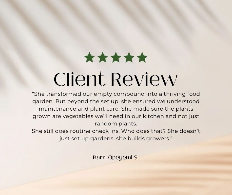 Client review 4